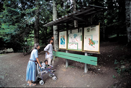 Visitatori osservano un pannello didattico. Oasi WWF, Riserva Naturale Regionale dell'Abetina di Rosello, Abruzzo