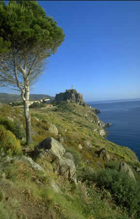 Forte Belvedere nell'isola di Capraia