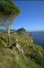 Forte Belvedere nell'isola di Capraia  clicca la foto per ingrandirla in un'altra pagina