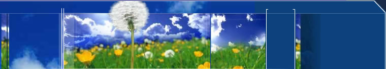 immagine di copertina della homepage www.parchipetutti.it