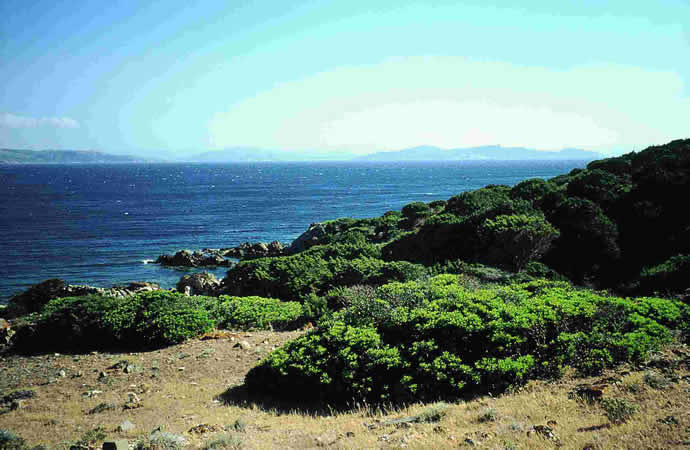 Asinara paesaggio