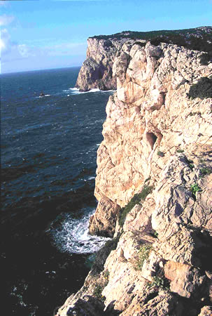 Falesie del Capo
