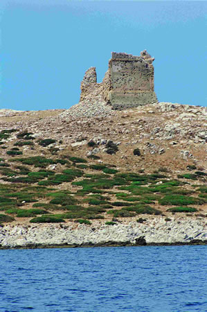 Dettaglio della Torre sull'Isola delle Femmine