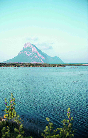 Isola di Tavolara