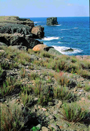 Cala Tramontana e scoglio della Colombara