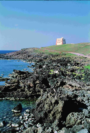 Torre Spalmatore