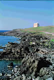 Torre Spalmatore  clicca la foto per ingrandirla in un'altra pagina
