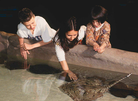 Vasche tattili, Acquario di Genova