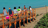 Passerelle su dune costiere clicca la foto per ingrandirla in un'altra pagina