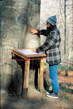 Sentiero natura accessibile, tabella in Braille sul faggio secolare. Riserva Naturale Regionale del Lago di Vico, Lazio clicca la foto per ingrandirla in un'altra pagina