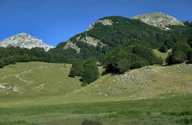 Zona del lago vivo