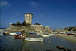 Torre campese nell'isola del Giglio  clicca la foto per ingrandirla in un'altra pagina