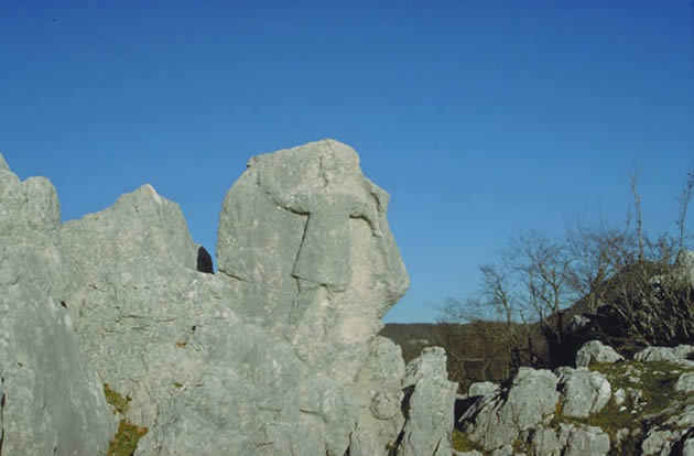 l'antece