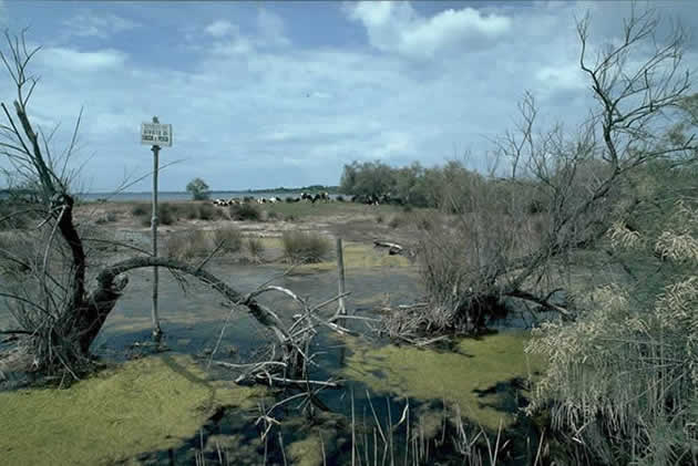 Lago di Caprolace
