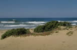 Dune costiere  clicca la foto per ingrandirla in un'altra pagina