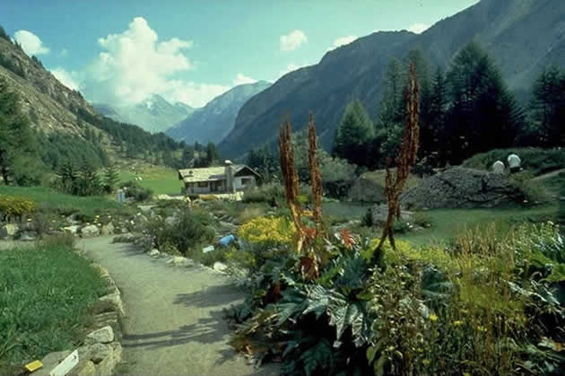 Giardino Paradisia