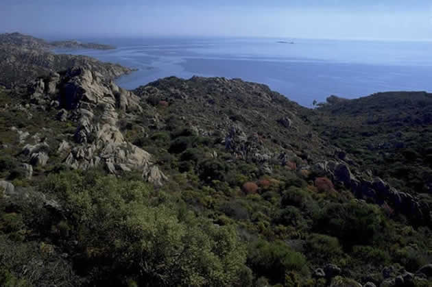 Isola di Caprera